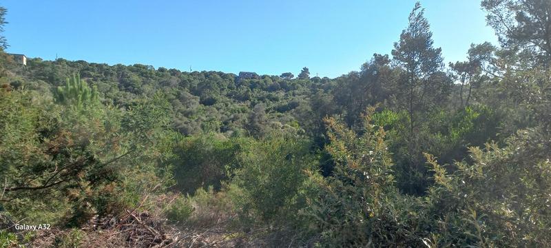 0 Bedroom Property for Sale in Wilderness Western Cape